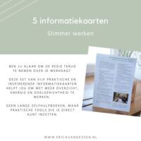 Informatiekaarten slimmer werken | Set van 5 kaarten